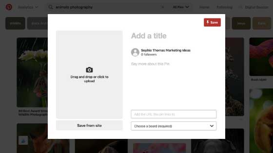 Fill Pin Details on Pinterest