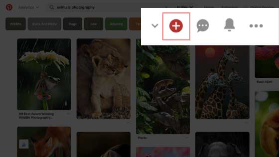Pin on Pinterest