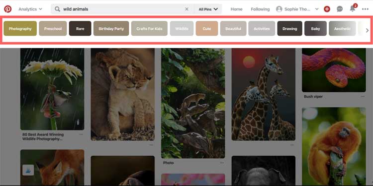 Pinterest Search Result